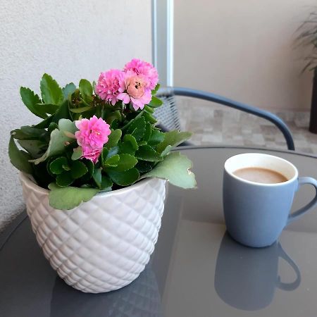 New Aparthotel Floresti Екстериор снимка